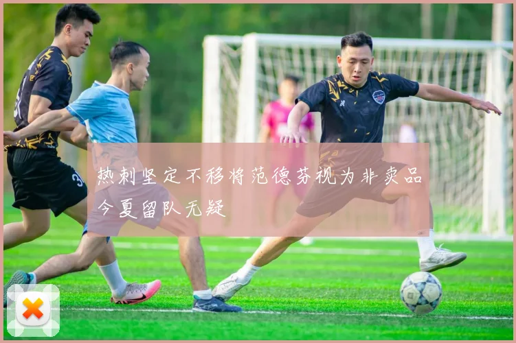 热刺坚定不移将范德芬视为非卖品今夏留队无疑