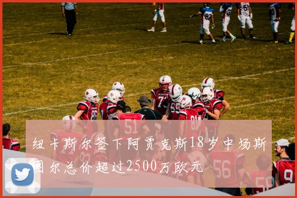 纽卡斯尔签下阿贾克斯18岁中场斯图尔总价超过2500万欧元